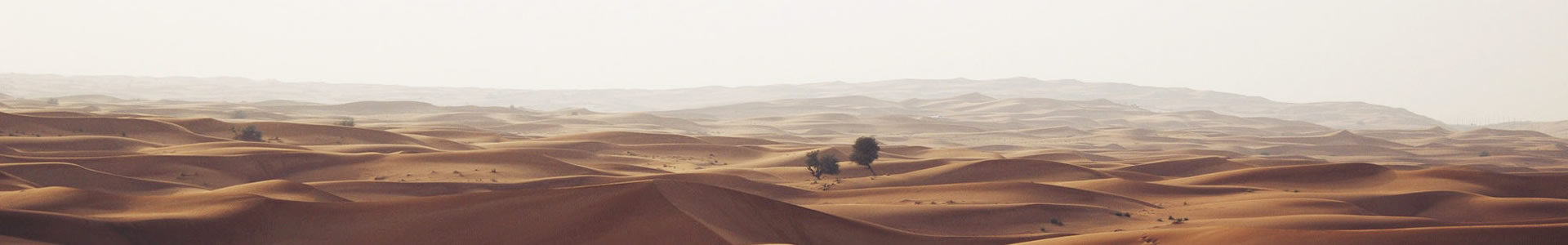 Ϻʢҽ޹˾